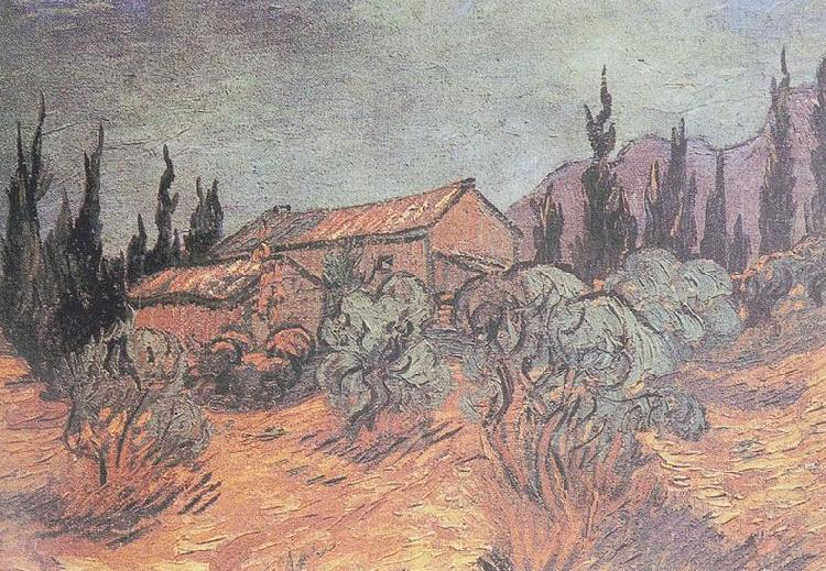 Huts surrounded by olive trees and cypresses, Vincent Van Gogh